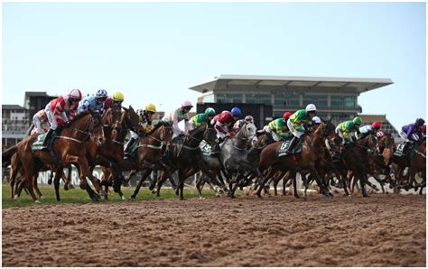 Free horse racing tips for Aintree: six horses to bet on for Grand .